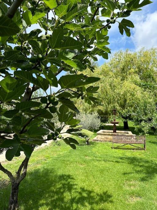Villa Des Jacinthes Tarascon Buitenkant foto